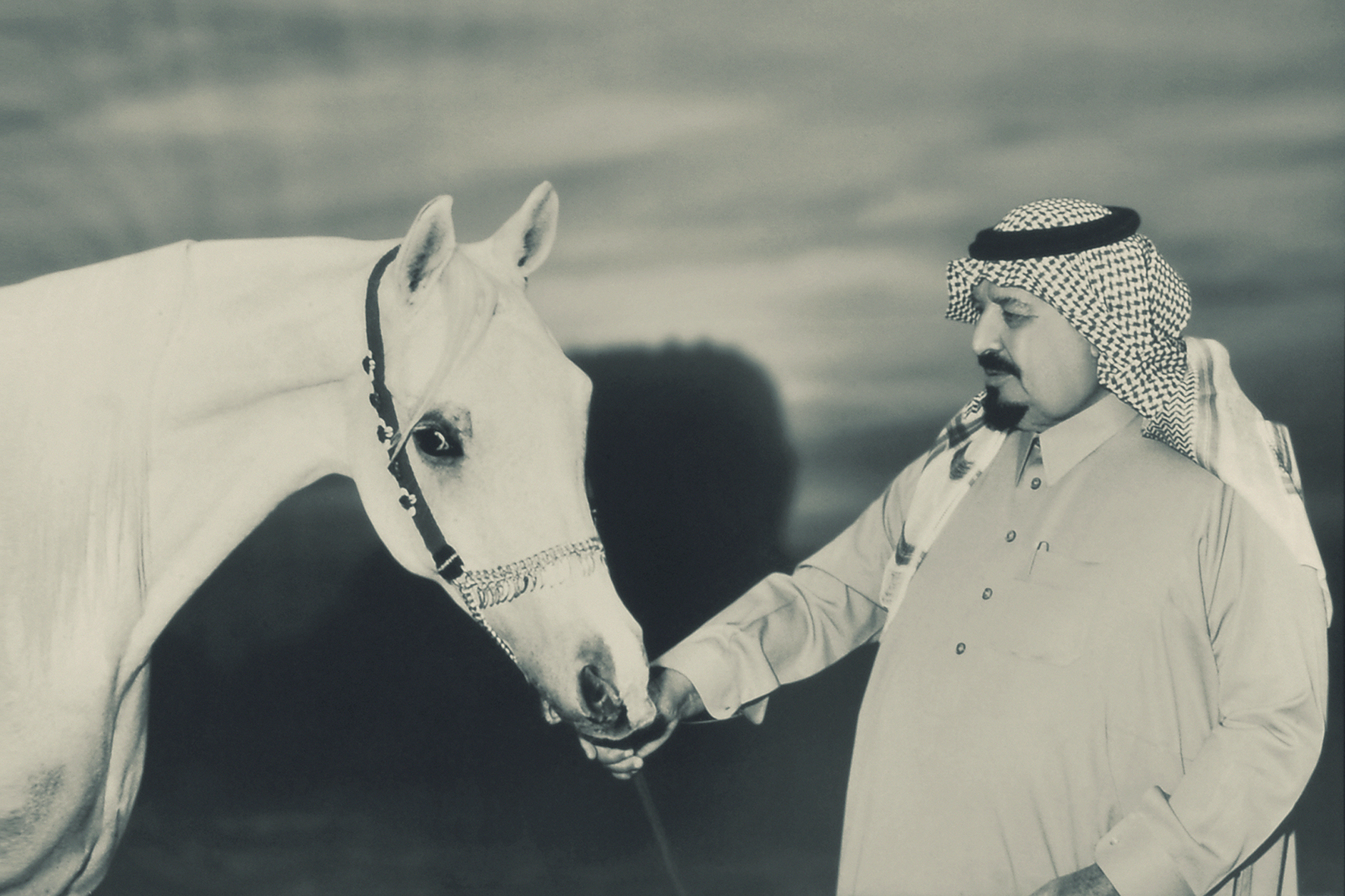 Tribute to HRH Prince Sultan Bin Abdulaziz