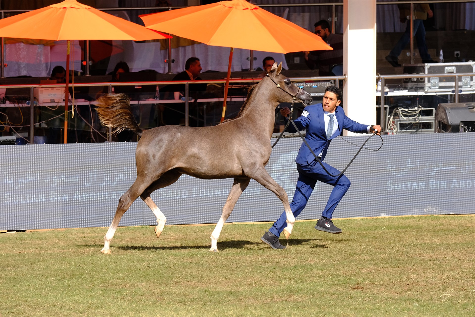 ESKANDER F R