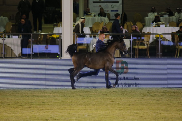 RAYAN AL MUAWD