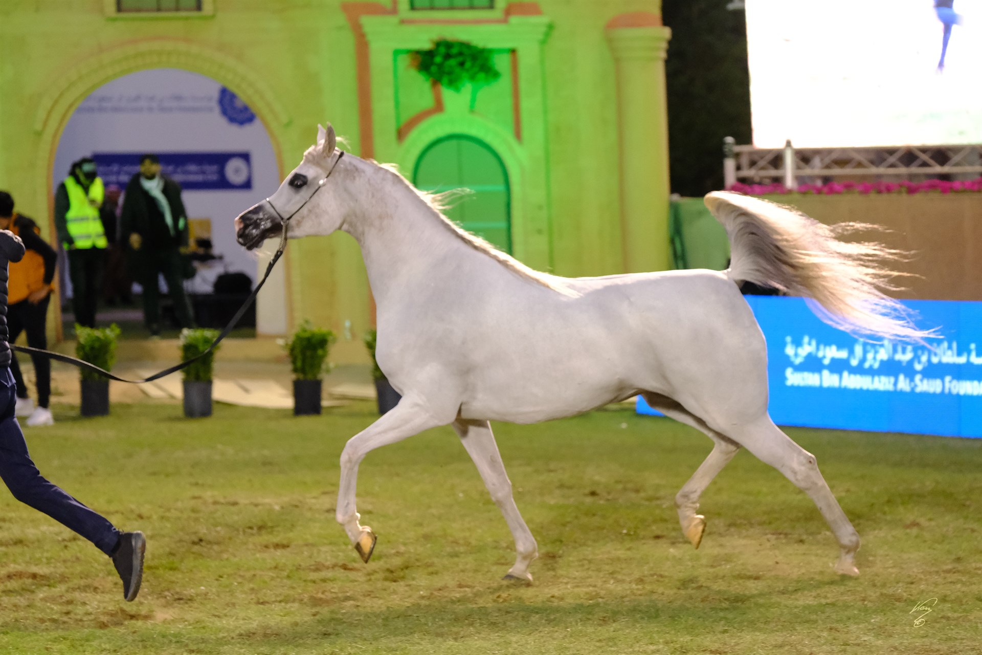 كارمن الخالد