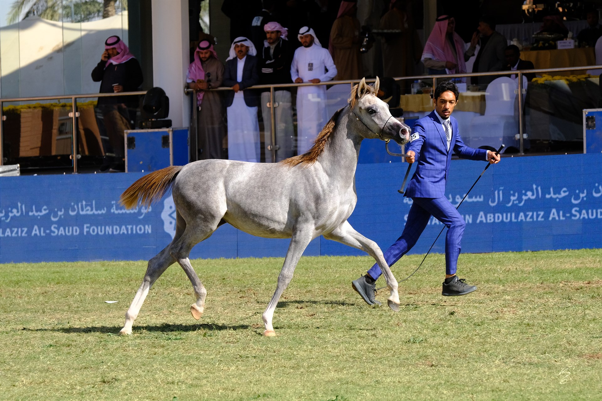 قمر اس كيو